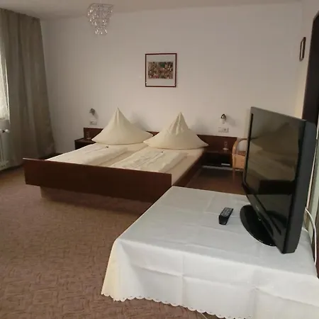 donauhotel Neu-ulm Hotel 2*