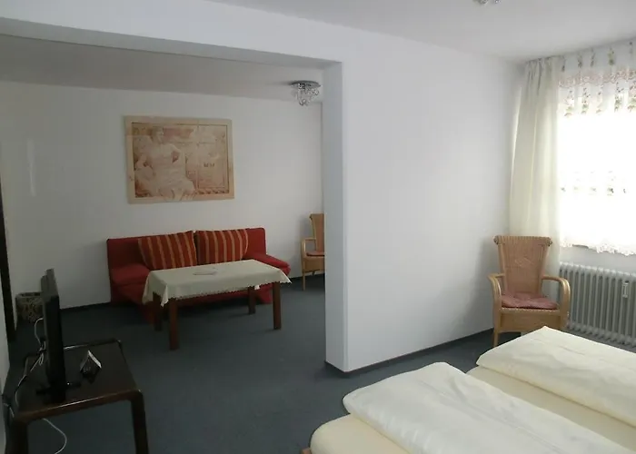 donauhotel Neu-ulm 2*