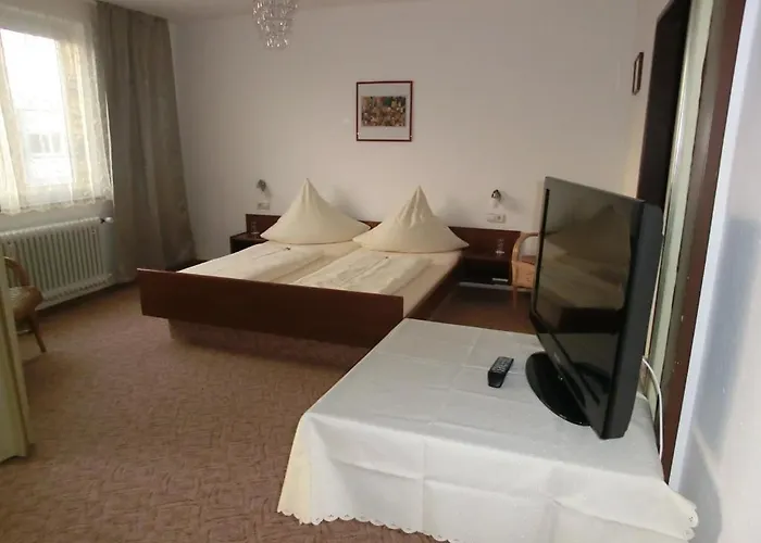 donauhotel Neu-ulm Hotell 2*